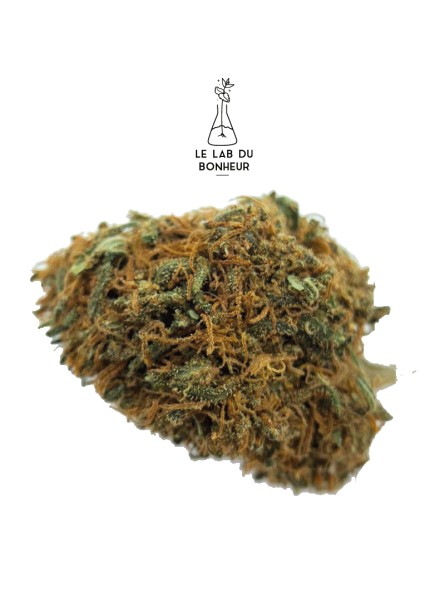 Fleurs de CBG - L'Amnesia - Indoor CBD Fleurs de CBG - L'Amnesia - Indoor CBD