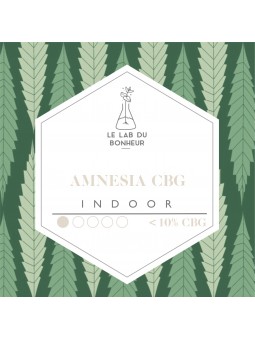 Fleurs de CBG - L'Amnesia - Indoor  CBD