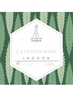 Fleurs de CBD - La Lemon Haze  CBD