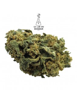 DESTOCK - INDOOR CBD