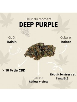 Fleur de CBD - Deep Purple  CBD