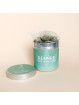 Infusion CBD Respire en sachet - Le Lab du Bonheur  CBD