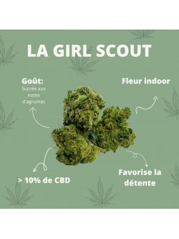 Fleurs de CBD - La Girl Scout  CBD