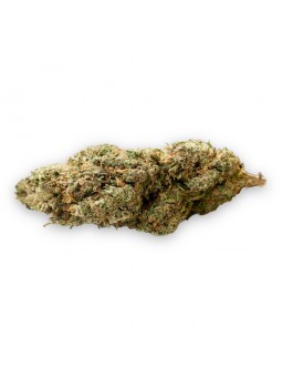 Fleurs de CBD - La Master Kush  CBD