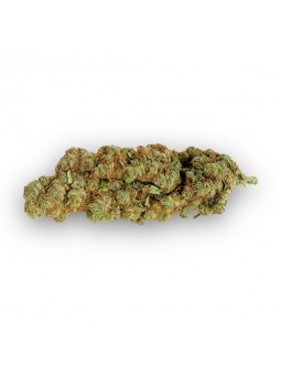 Fleurs de CBD - L'Amnesia Indoor  CBD