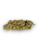 Fleurs de CBD - L'Amnesia Indoor  CBD