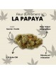 Fleur de CBD - La Papaya  CBD