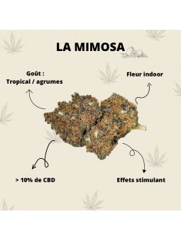 Fleur de CBD - La Mimosa  CBD