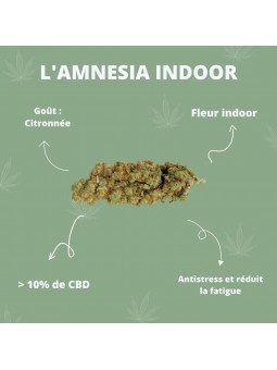 Fleurs de CBD - L'Amnesia Indoor  CBD