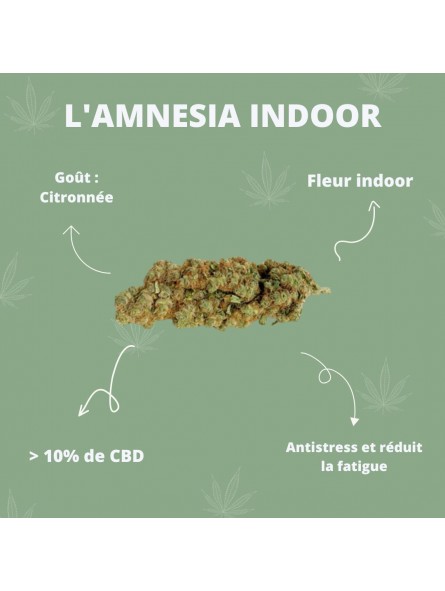 Fleurs de CBD - L'Amnesia Indoor  CBD