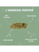 Fleurs de CBD - L'Amnesia Indoor  CBD