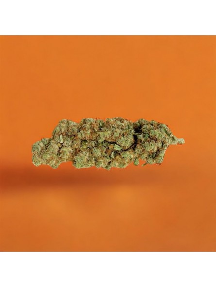 Fleurs de CBD - L'Amnesia Indoor  CBD