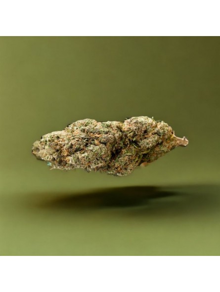 Fleurs de CBD - La Master Kush  CBD