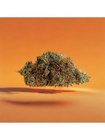 Fleur de CBD - La Tangerine G13  CBD