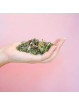 Infusion CBD Dame Nature - Le Lab du Bonheur CBD