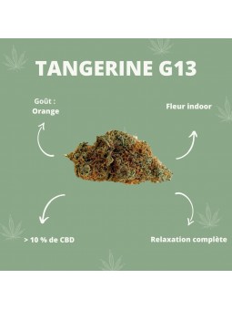 Fleur de CBD - La Tangerine G13  CBD