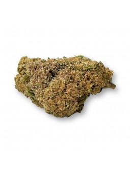 Fleur de CBD - La Critical-V1  CBD