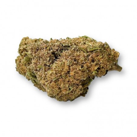 Fleur de CBD - La Critical-V1  CBD