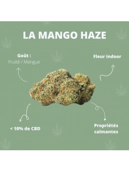 Fleurs de CBD - La Mango Haze  CBD