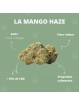 Fleurs de CBD - La Mango Haze  CBD