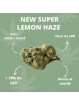 Fleur CBD - La New Super Lemon Haze  CBD