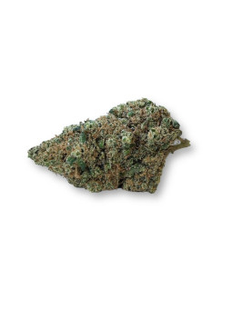 Fleur de CBD - La Tropical Dream  CBD