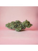 Fleur de CBD - La Mela Sour  CBD