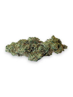 Fleur de CBD - La Mela Sour  CBD