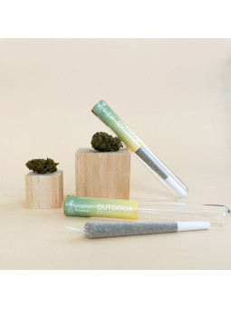 Outdoor CBD - Infu'Stick - pré-roulé CBD - Le Lab du Bonheur Cones pré-roulés CBD
