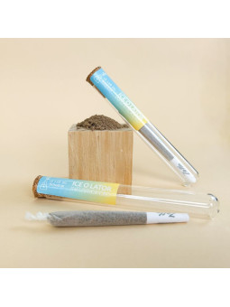 Ice o lator - Infu'Stick - pré-roulé CBG - Le Lab du Bonheur Cones pré-roulés CBD