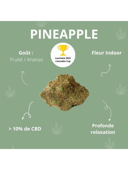Fleurs de CBD - La Pineapple  CBD