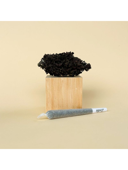 Blackberry Kush - Infu'Stick - pré-roulé CBD - Le Lab du Bonheur Cones pré-roulés CBD
