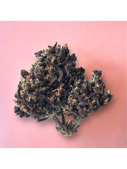 Blackberry Kush - Infu'Stick - pré-roulé CBD - Le Lab du Bonheur Cones pré-roulés CBD