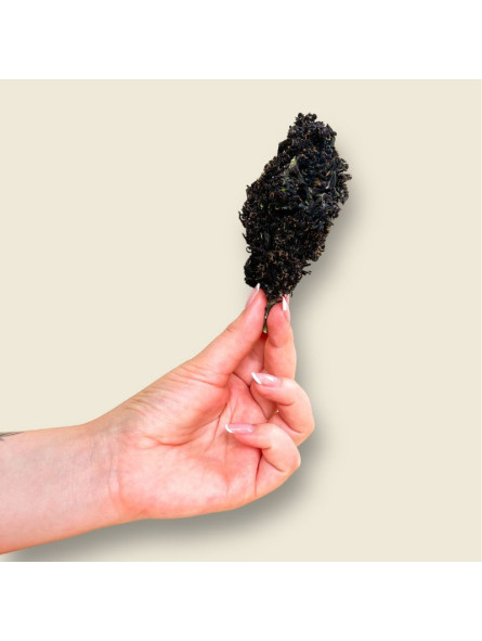 Blackberry Kush - Infu'Stick - pré-roulé CBD - Le Lab du Bonheur Cones pré-roulés CBD