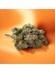 Fleur - La OG Bang CBD+  CBD