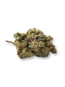 Fleur - La OG Bang CBD+  CBD