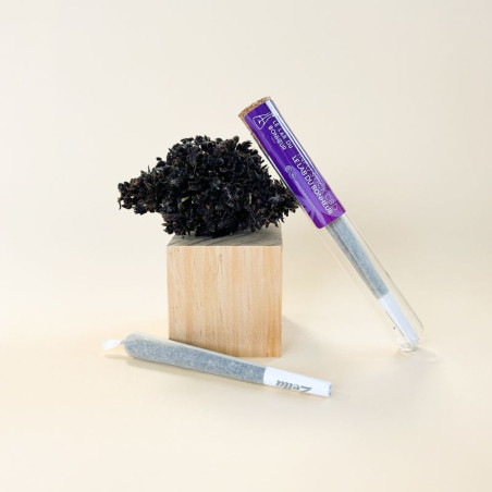 Blackberry Kush - Infu'Stick - pré-roulé CBD - Le Lab du Bonheur Cones pré-roulés CBD