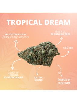 Fleur de CBD - La Tropical Dream  CBD