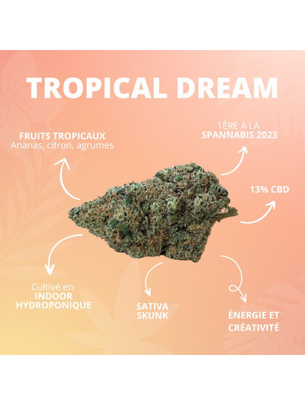 Fleur de CBD - La Tropical Dream  CBD