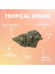 Fleur de CBD - La Tropical Dream  CBD