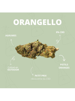 Fleur de CBD - L'Orangello  CBD