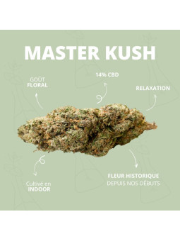 Fleurs de CBD - La Master Kush  CBD