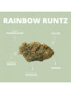 Fleur de CBD - La Rainbow Runtz  CBD