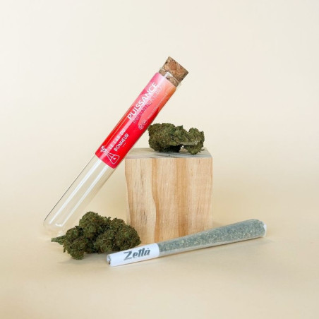 Puissance - Infu'Stick - pré-roulé CBD - Le Lab du Bonheur Cones pré-roulés CBD