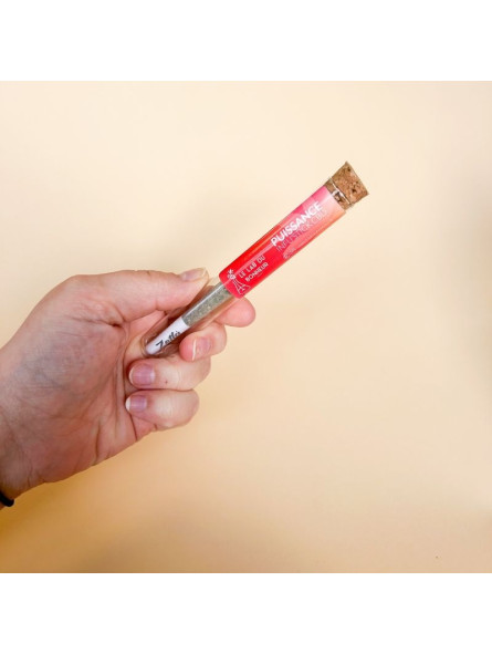 Puissance - Infu'Stick - pré-roulé CBD - Le Lab du Bonheur Cones pré-roulés CBD