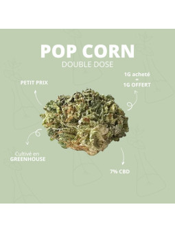 Fleur de CBD - La Pop Corn Double Dose CBD