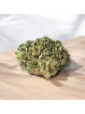 Fleur de CBD - La Pop Corn Double Dose  CBD