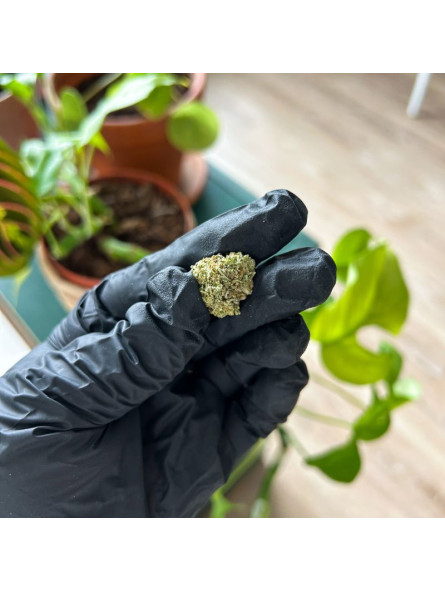 Fleur de CBD - La Pop Corn  CBD