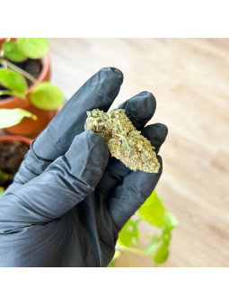 Fleur de CBD - La Zest Storm  CBD