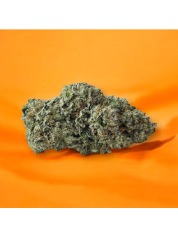 Fleur de CBD - La Zest Storm  CBD